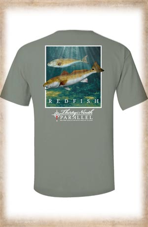 Redfish Shirt- Bay
